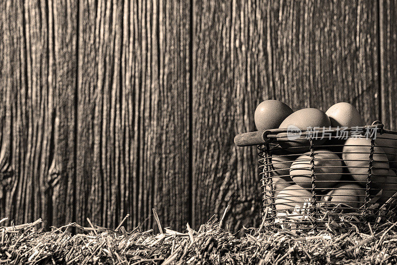 A basket full of farm fresh eggs on a straw bale – B&W